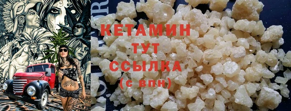 прущие грибы Каменка