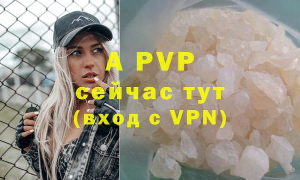 ешки Алексин