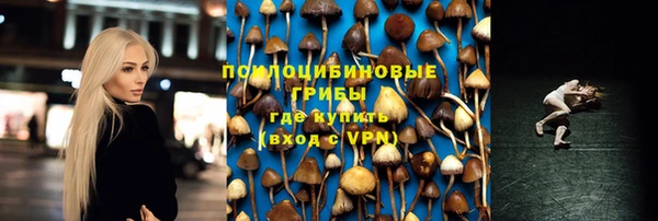 ешки Алексин
